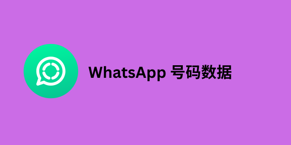 WhatsApp 号码数据